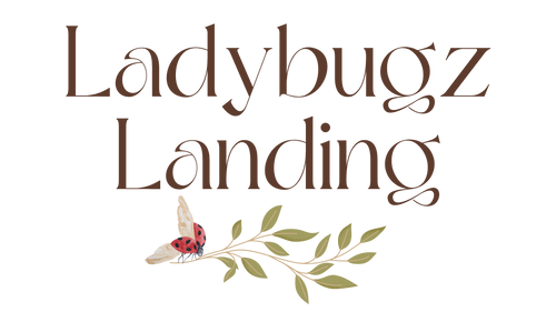 Ladybugz Landing